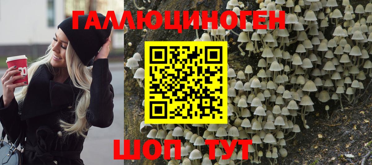 Галлюциногенные грибы GOLDEN TEACHER Тавда