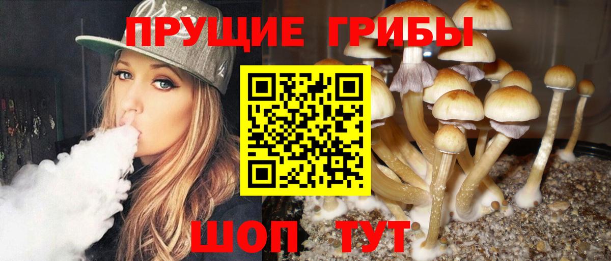 Галлюциногенные грибы ЛСД Тавда