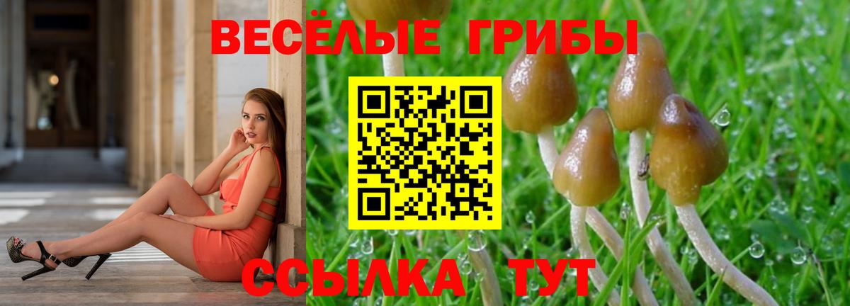 Галлюциногенные грибы Psilocybine cubensis  Вход с VPN  Тавда  Галлюциногенные грибы Psilocybe 